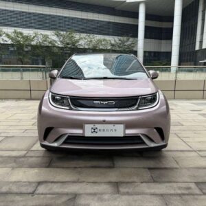 Puff Pink BYD Dolphin front view